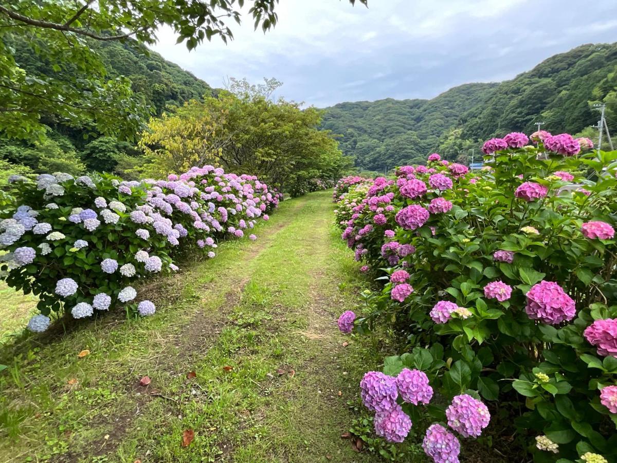 Ｋａｏｒｕ　Ｉｎｎ Villa Minamiizu Kültér fotó